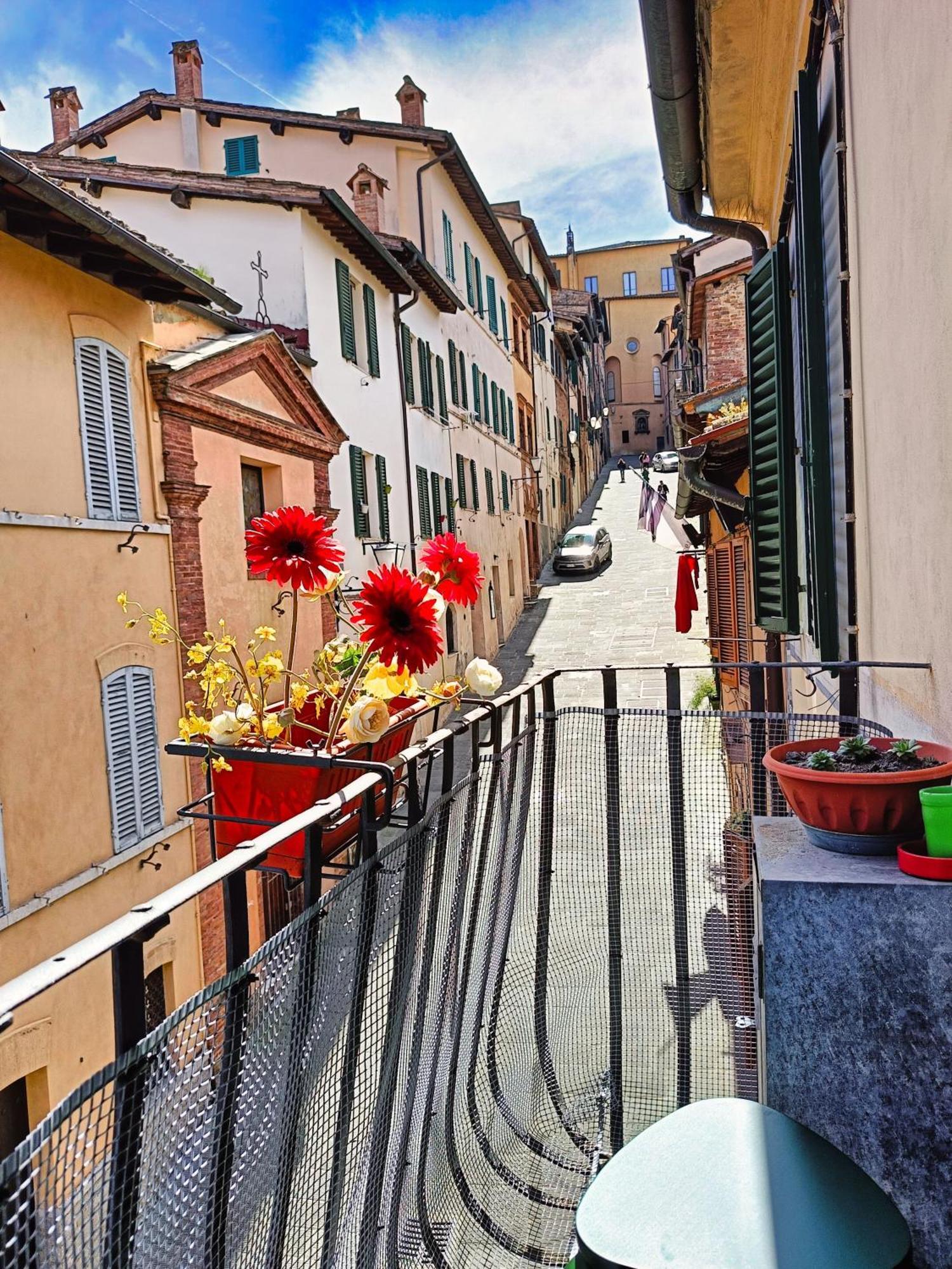 La Campanina-nel cuore di Siena e della contrada Esterno foto