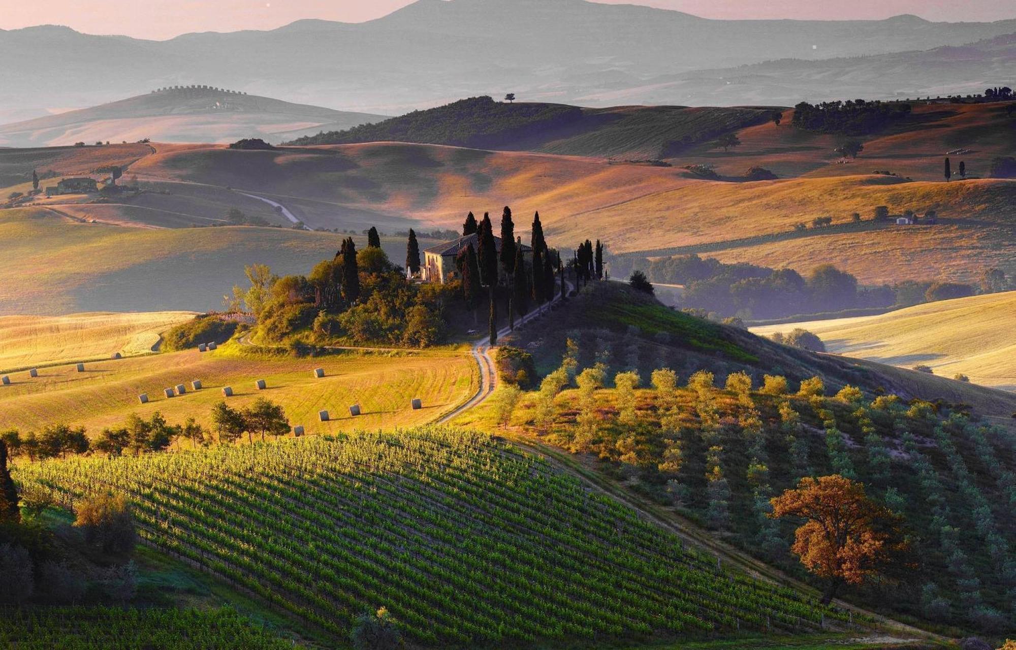 La Campanina-nel cuore di Siena e della contrada Esterno foto